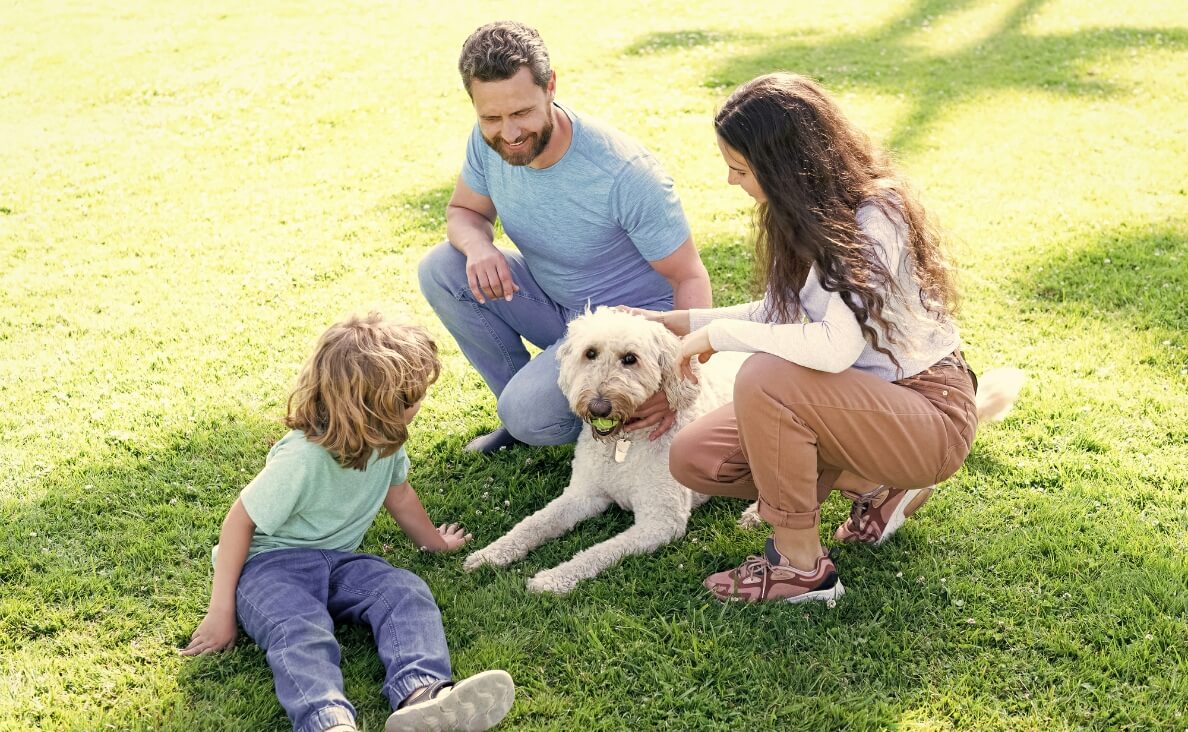 family playing with poodle in yard