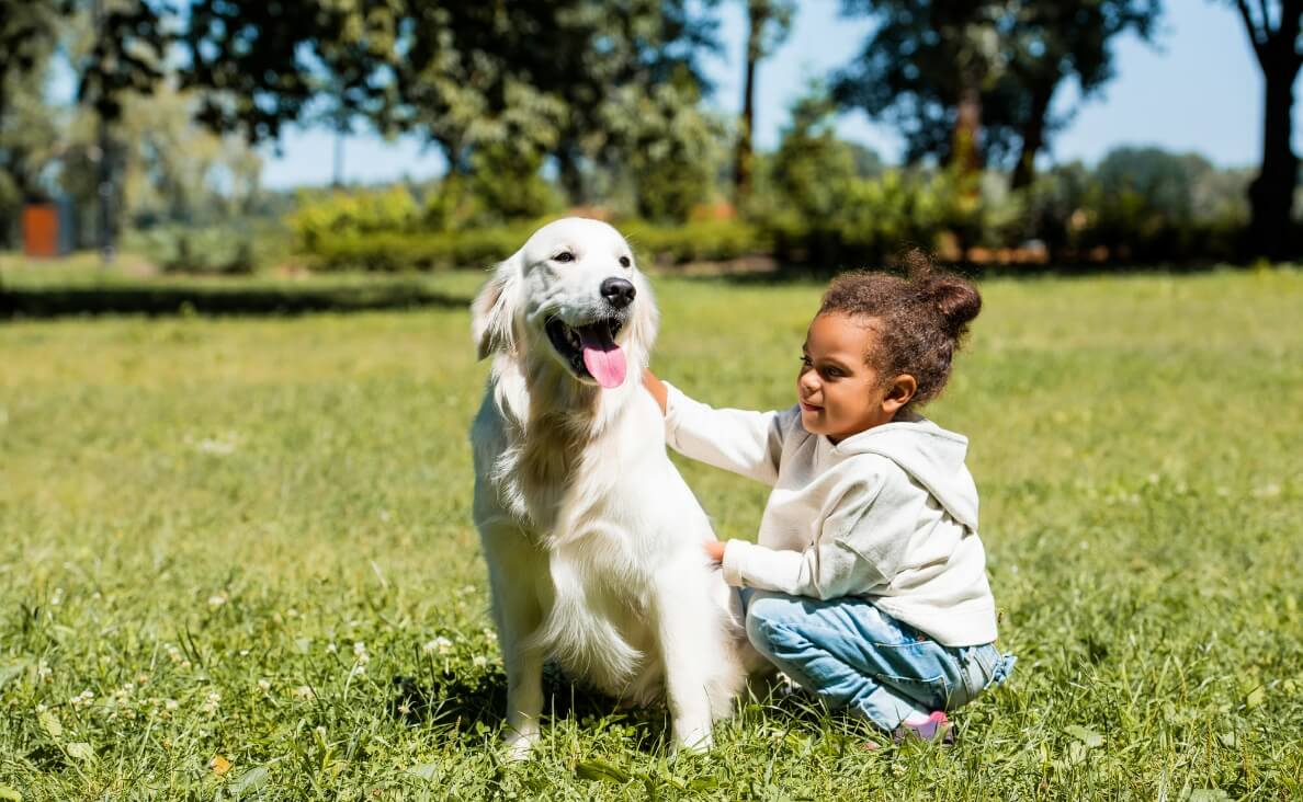 little girl playing with golden retriever in yard