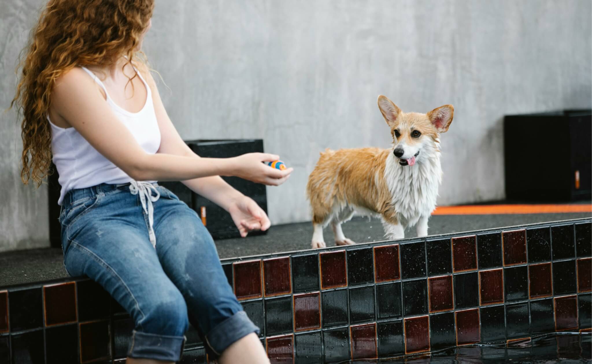 woman playing with Corgi at edge of pool