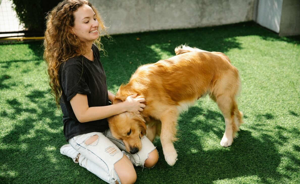 woman playing with golden retriever on astro turf