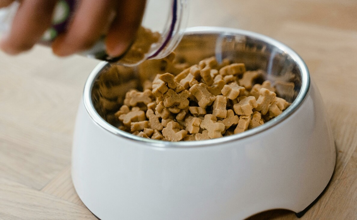 Switch Your Dogs Food - person shaking dog food out of a glass container into a dog bowl
