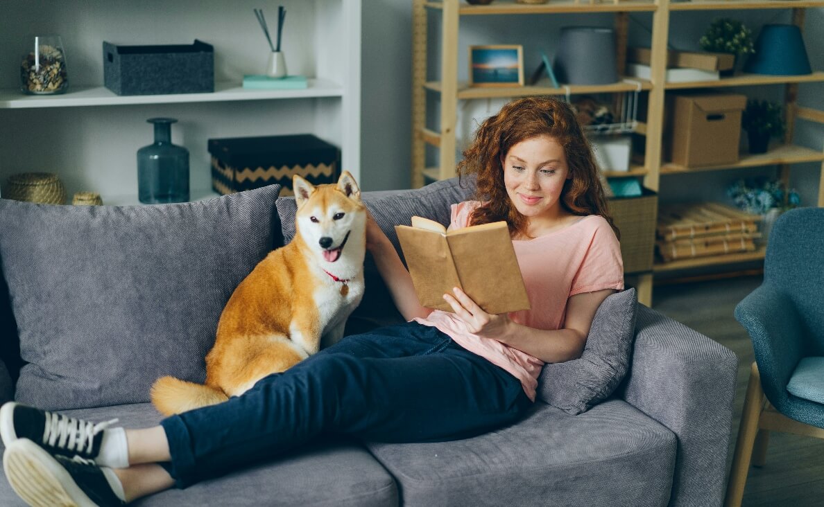 Best Books for Dog Lovers This Holiday Season