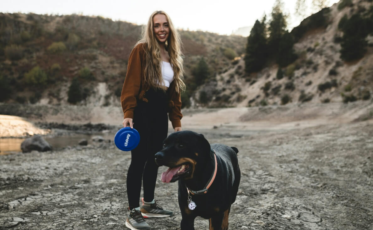 dog fitbit rottweiler