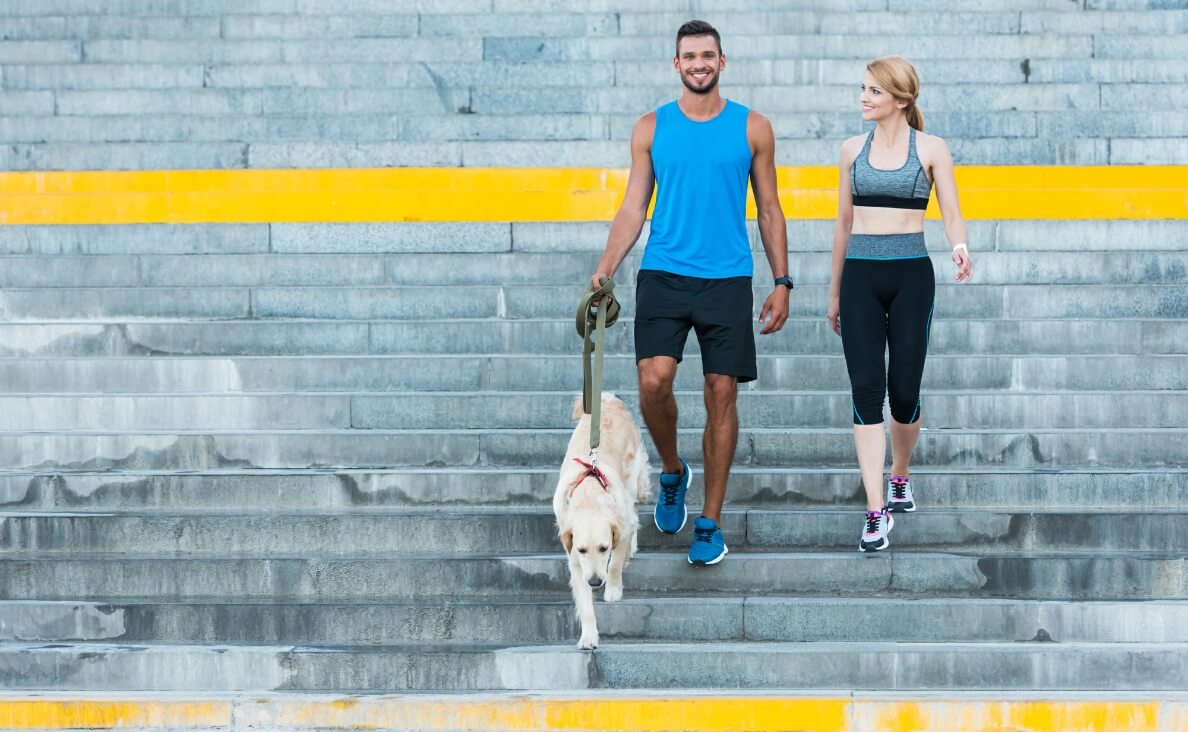 Dog Fitbit: Why Pet Activity Trackers Are on the Rise