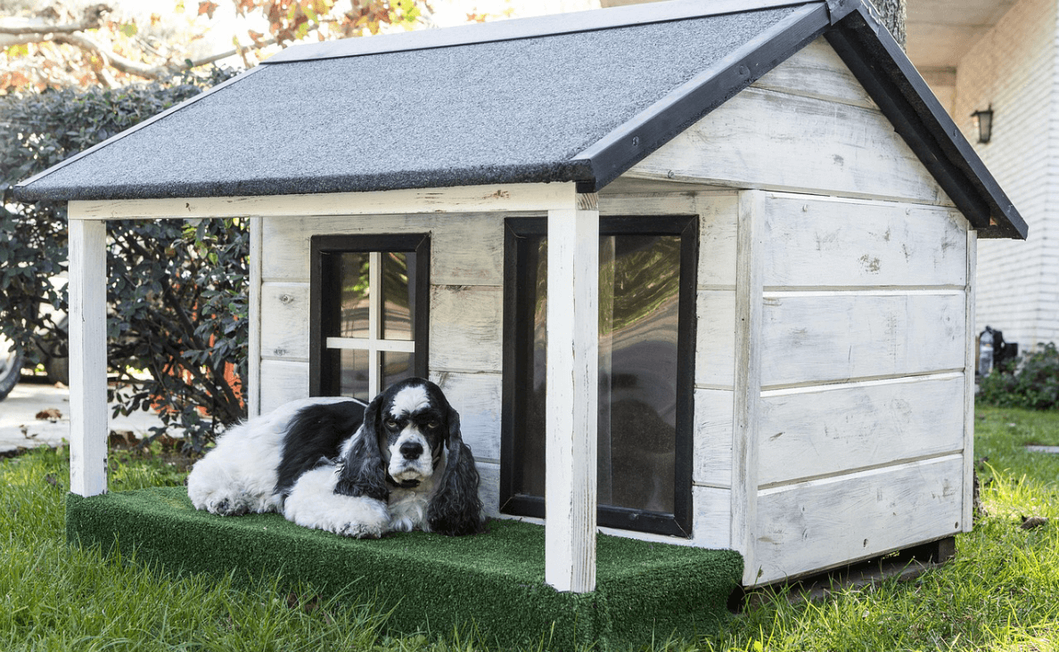 https://www.caninecampus.us/wp-content/uploads/2025/10/extra-blog-image-Outdoor-Dog-Houses-cocker-spaniel-on-dog-house-porch.png