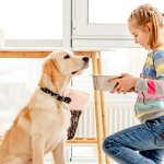 When Can Kids Help with the Family Dog?