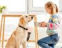 When Can Kids Help with the Family Dog?