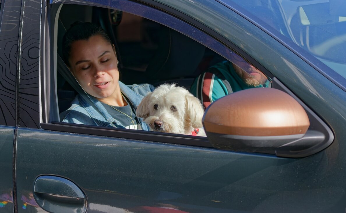 Holiday travel - couple in car with fluffy white dog