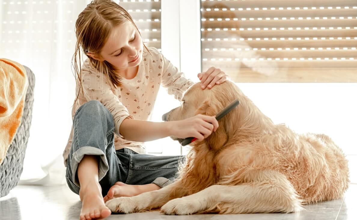 girl grooming her dog