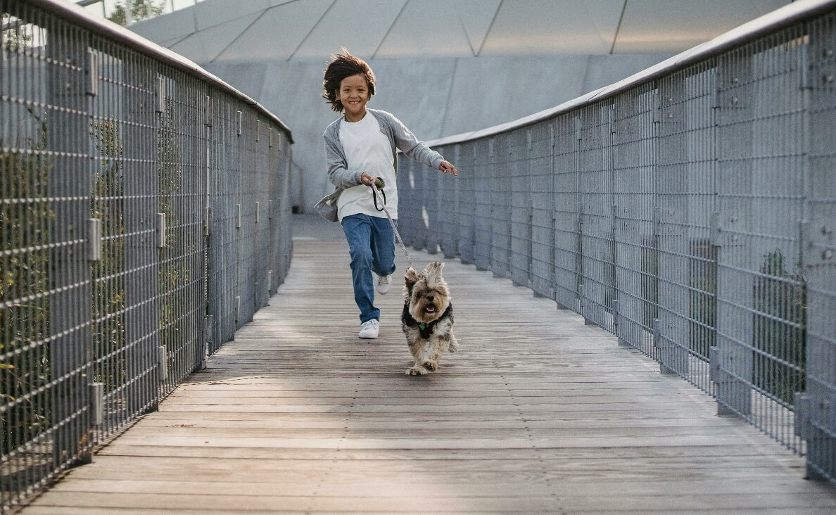 little boy running with a Yorkshire Terrier across a footbridge