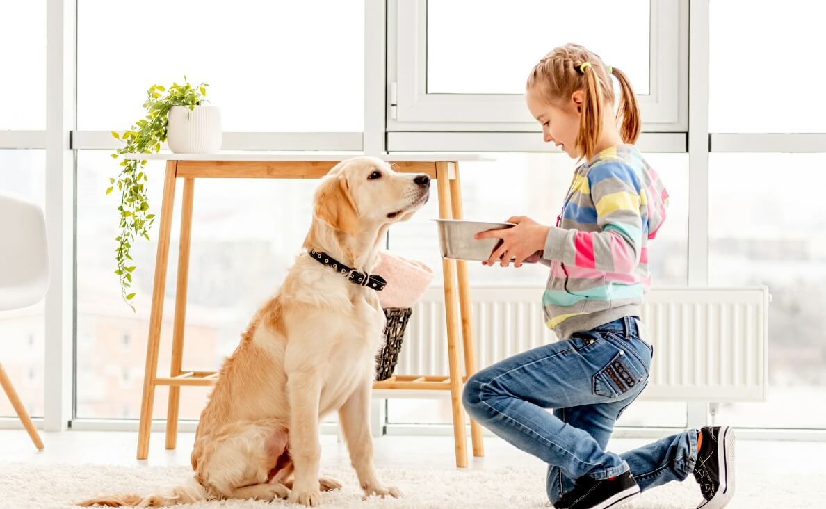When Can Kids Help with the Family Dog?