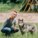 Dog Training Myths: What Science Really Says