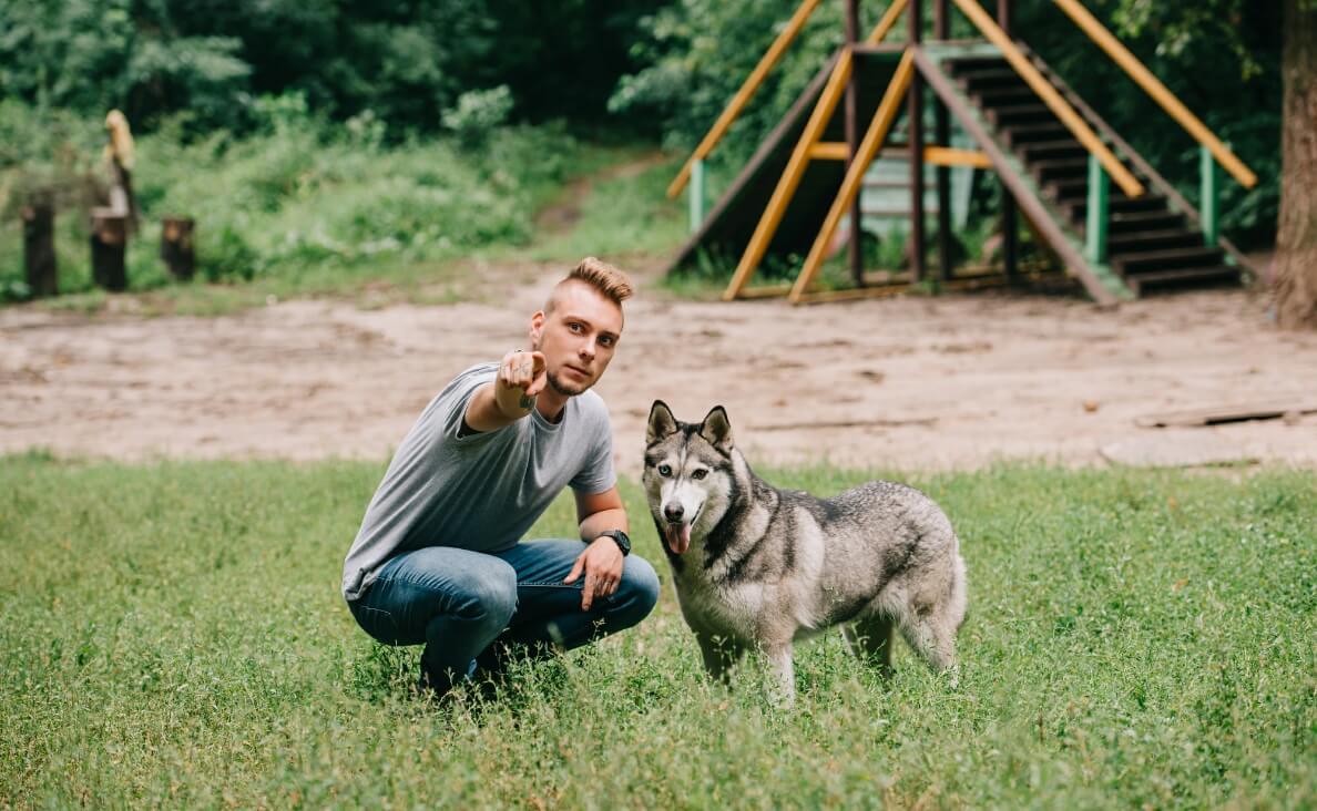 Dog Training Myths: What Science Really Says