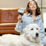 Why Dogs Shed More in Spring and 7 Ways to Manage It