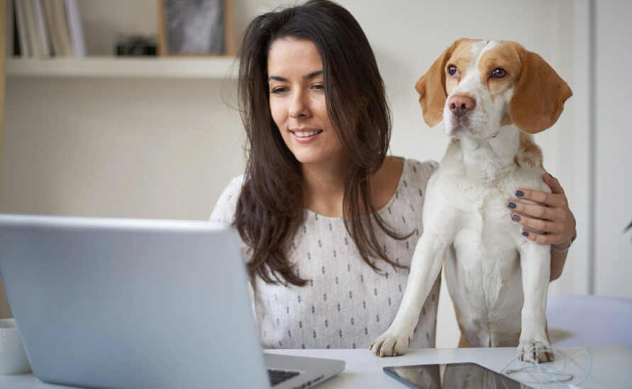 The Unexpected Benefits of a Dog Journal - woman typing on laptop with beagle dog