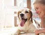 Dog Dementia: Can Diet Help Protect Your Dog’s Brain?