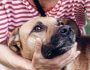 What To Do If Your Dog Is Choking: Step-by-Step Emergency Guide