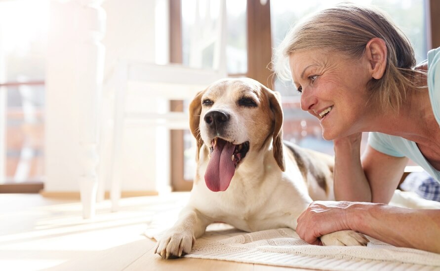 Dog Dementia: Can Diet Help Protect Your Dog’s Brain?