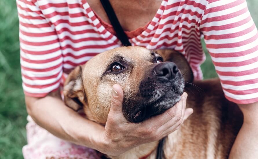 What To Do If Your Dog Is Choking: Step-by-Step Emergency Guide