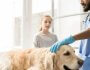 11 Warning Signs Your Dog Needs Emergency Veterinary Care