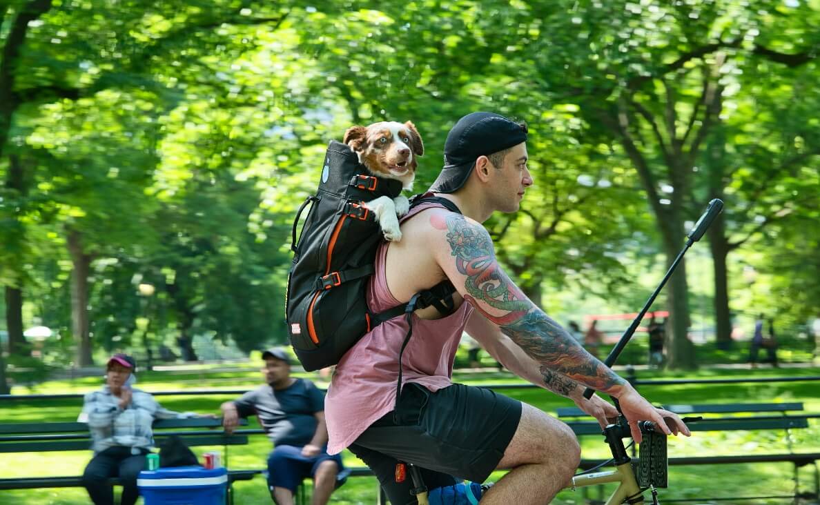 Is Biking With Your Dog Safe - dog riding in man's backpack riding a bicycle