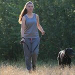 Protecting Your Dog From Cheatgrass and Foxtails: A Colorado Dog Owner's Guide