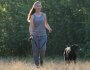 Protecting Your Dog From Cheatgrass and Foxtails: A Colorado Dog Owner's Guide