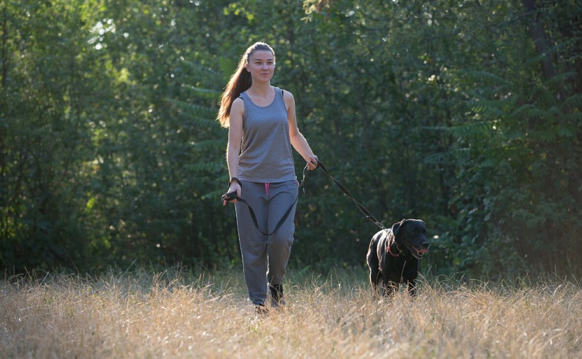 Protecting Your Dog From Cheatgrass and Foxtails: A Colorado Dog Owner's Guide
